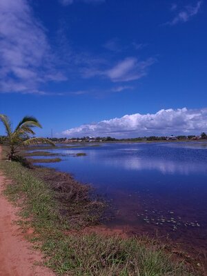 20200919_103153.jpg