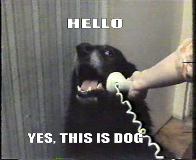 48ACD.thumb.png.6c6292acdd5027ebf78de84038210f39.png