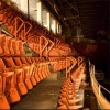 obstructedorangeseats